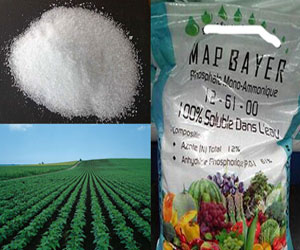 Mono-Ammonium Phosphate MAP Tech Grade 12-61-0