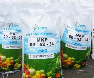 Mono Potassium Phosphate MKP, 0-52-34, water soluble fertilizer