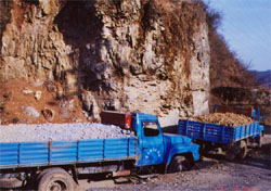 Lorry Transportation