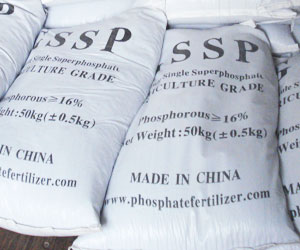 Single Super Phosphate SSP